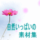 ���R�����ς��̑f�ޏW/�ʊy�l